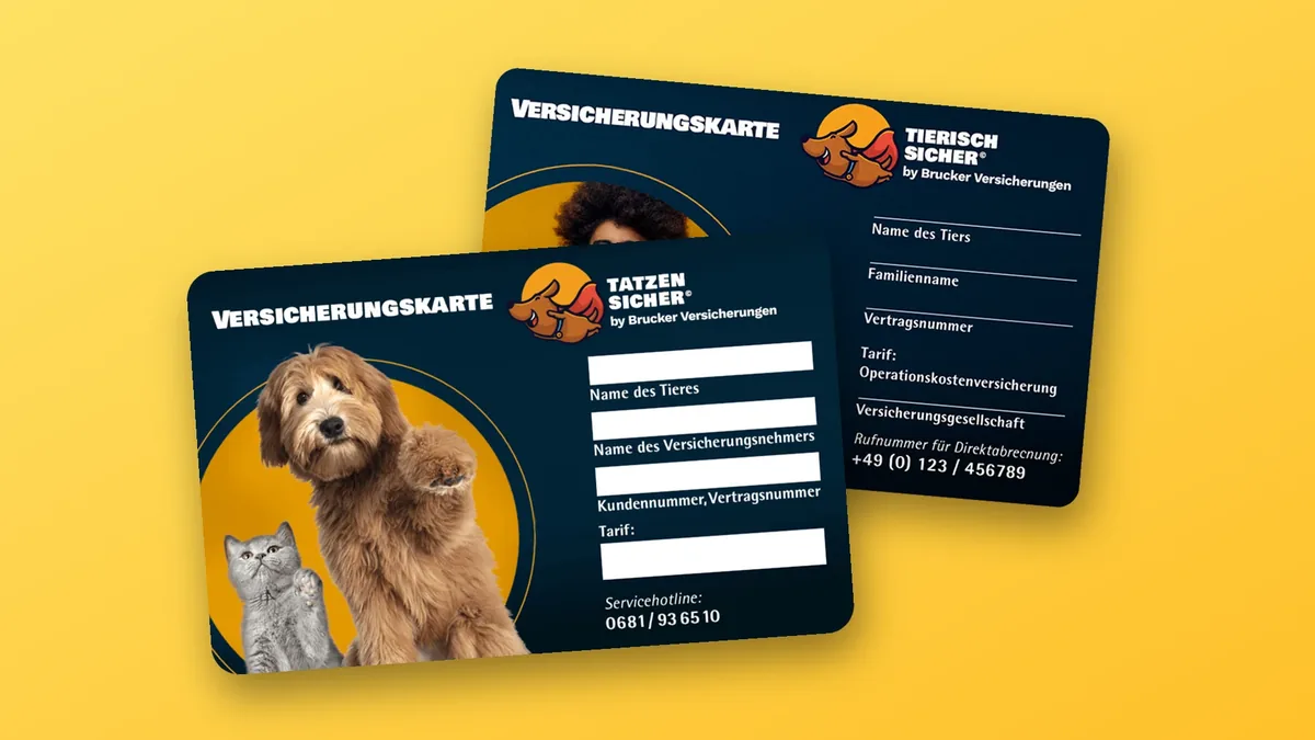 Zwei Fassungen der Versicherungskarte auf Gelb, links Tatzen sicher mit Hund und Katze, rechts Tierisch sicher