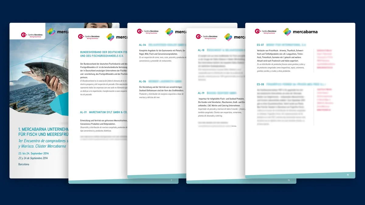 Fünf Katalogseiten im Überblick, Ansprechpartner und Firmennamen unkenntlich