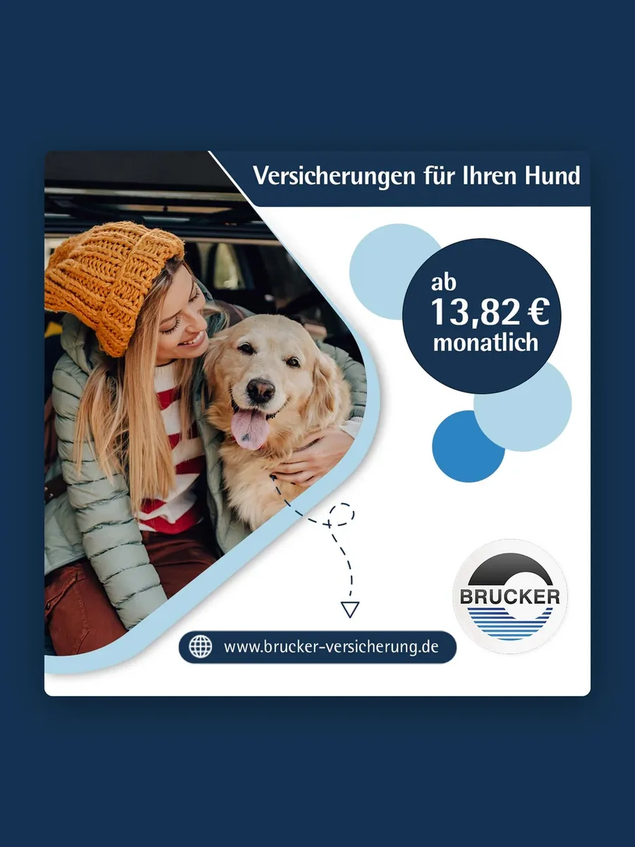 Anzeige Versicherungen für Ihren Hund mit gestricheltem Pfotenweg und hellblauen Kreisen