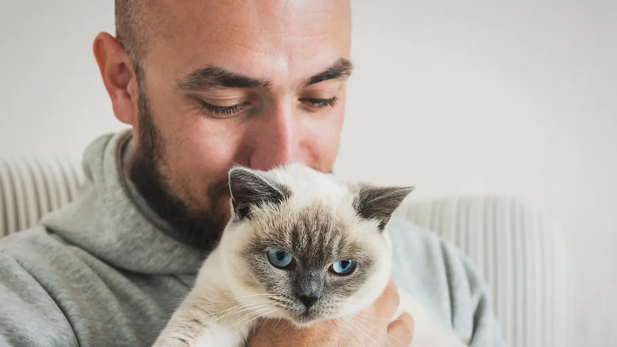 Ein Mann hält eine Katze mit blauen Augen dicht an sein Gesicht