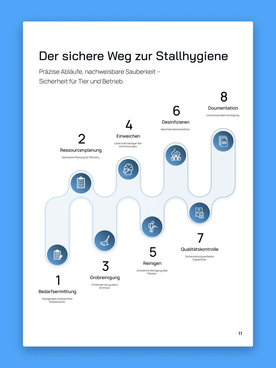 Broschürenseite „Der sichere Weg zur Stallhygiene“: acht Schritte von der Bedarfsermittlung bis zur Dokumentation als geschwungener Pfad mit Icons.