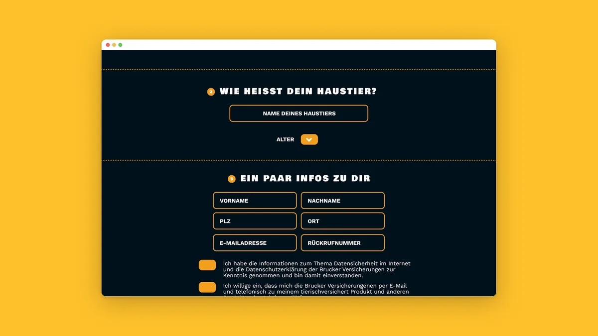 Landing Page, Formular mit Fragen zum Haustier und zu den Kontaktdaten