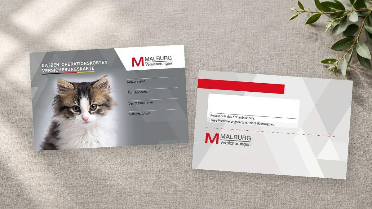 Katzen-OP-Versicherungskarte, Vorder- und Rückseite, auf hellem Leinen mit Schattenwurf und Olivenzweig