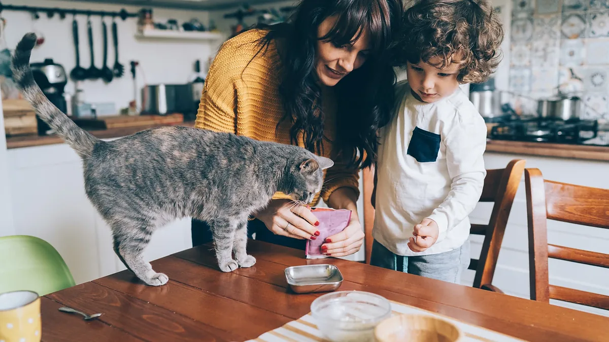 Frau und Kind in der Küche, eine graue Katze schnuppert an einer Schale