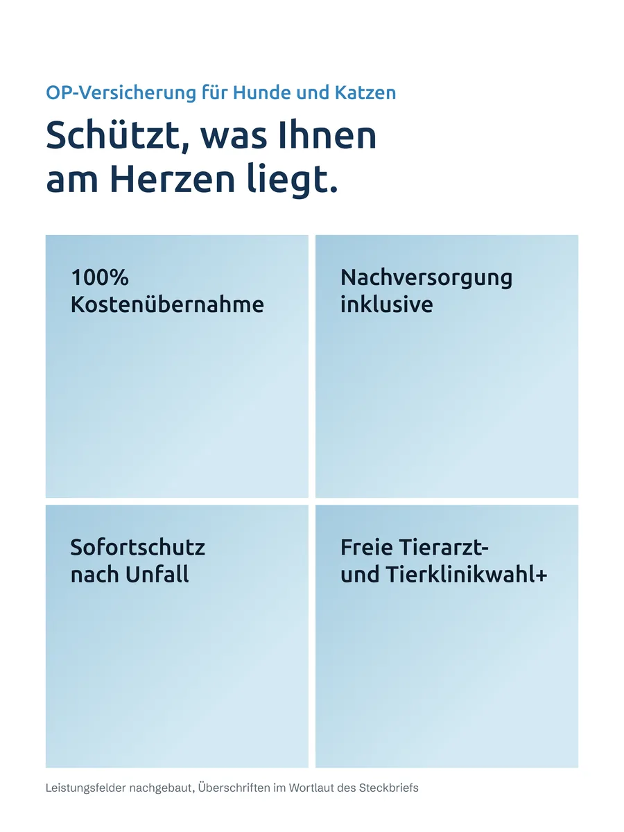 Leistungsfelder des Steckbriefs als Kacheln nachgebaut
