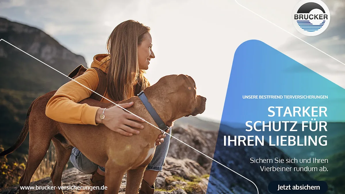 Social-Anzeige Starker Schutz für Ihren Liebling: Frau mit Hund auf einem Berggipfel