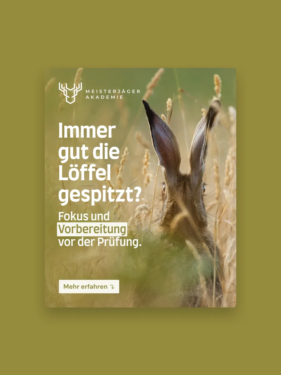 Post Immer gut die Löffel gespitzt? mit Feldhase, Prüfungsvorbereitung April 2026