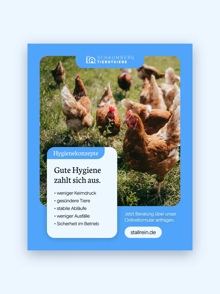 Instagram-Beitrag von Schaumberg Tierhygiene: Gute Hygiene zahlt sich aus, Hühner auf der Wiese, Label Hygienekonzepte