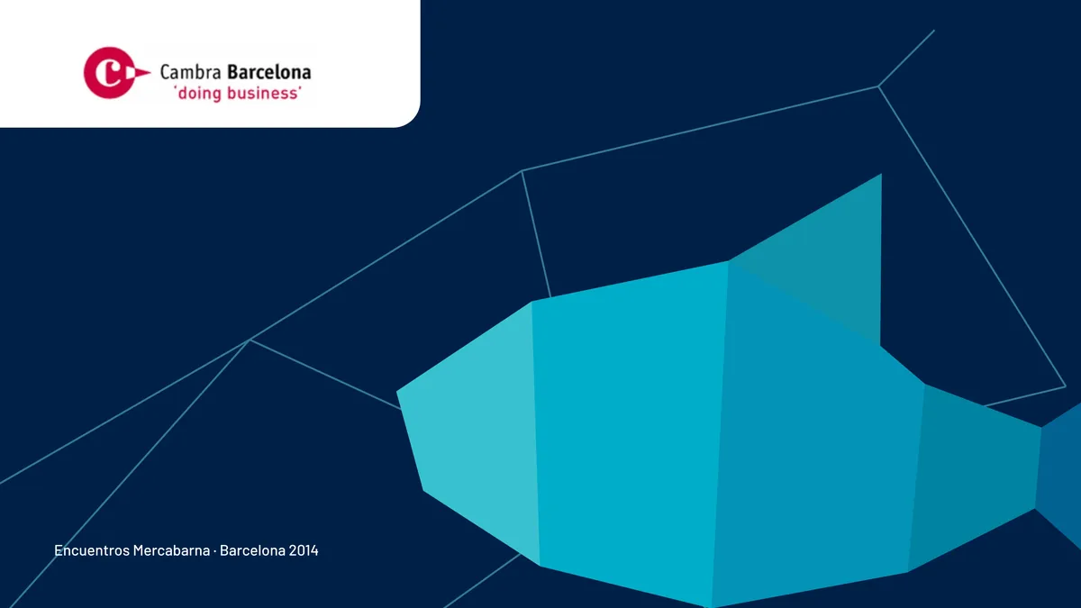 Cover mit Origami-Fisch und Linien-Netz