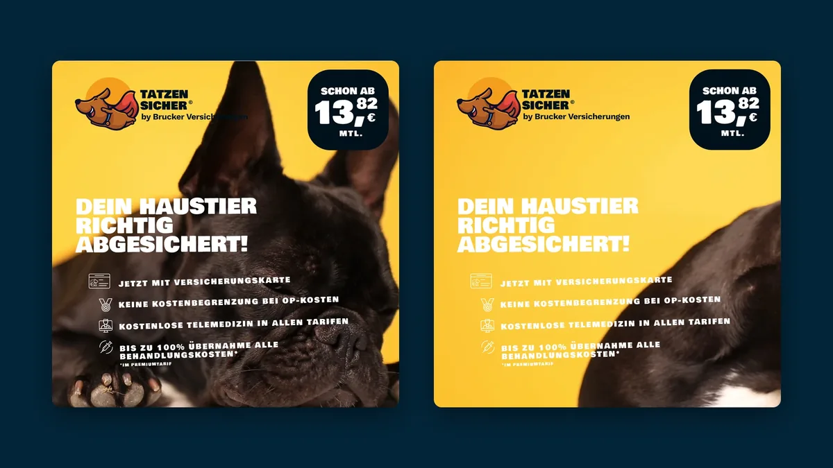 Zwei Keyframes der Video-Anzeige auf Tiefblau: Dein Haustier richtig abgesichert