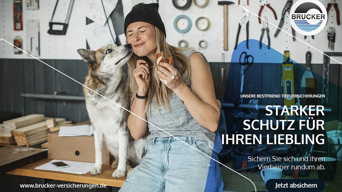 Social-Anzeige Starker Schutz für Ihren Liebling: Frau mit Husky in der Werkstatt