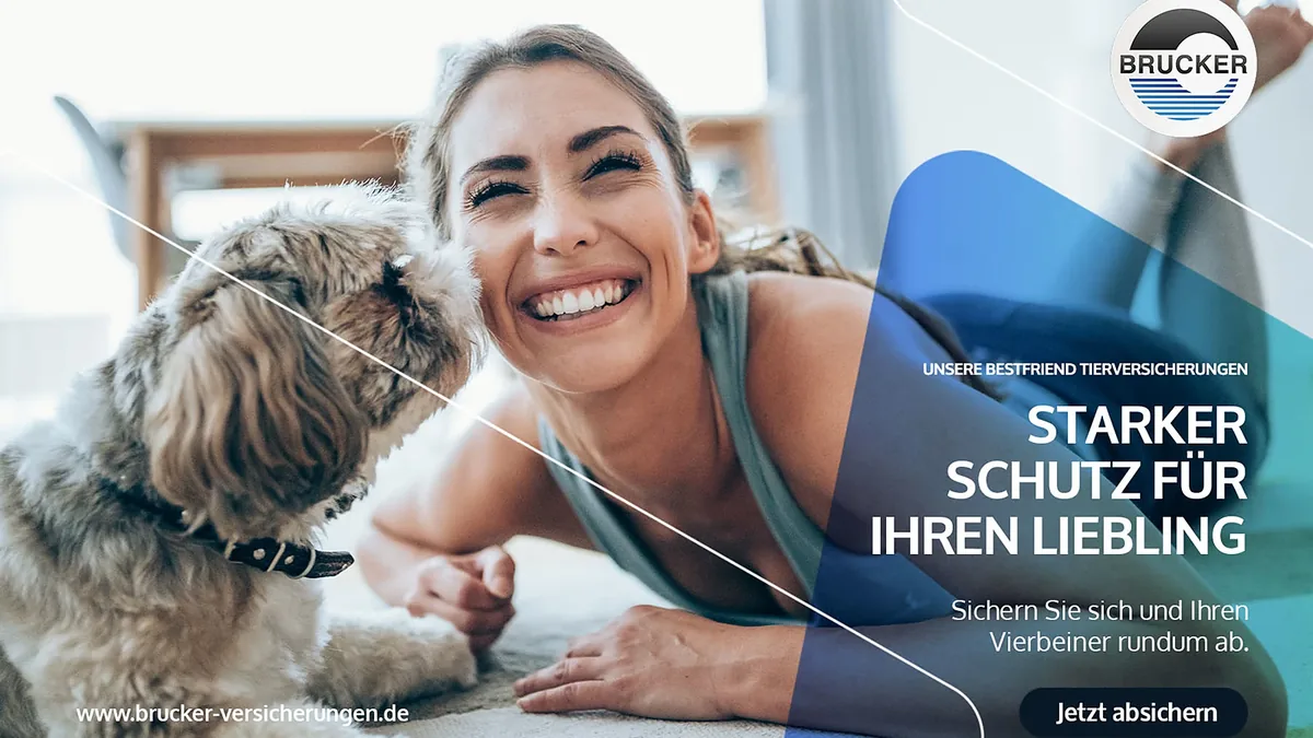 Social-Anzeige Starker Schutz für Ihren Liebling: Frau mit Hund auf dem Teppich