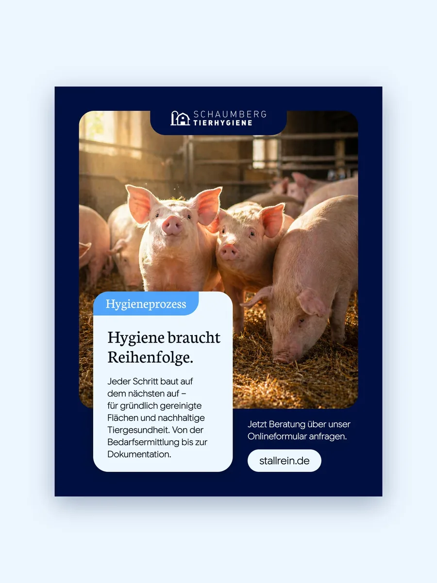 Instagram-Beitrag von Schaumberg Tierhygiene: Hygiene braucht Reihenfolge, Schweine im Stroh, Label Hygieneprozess